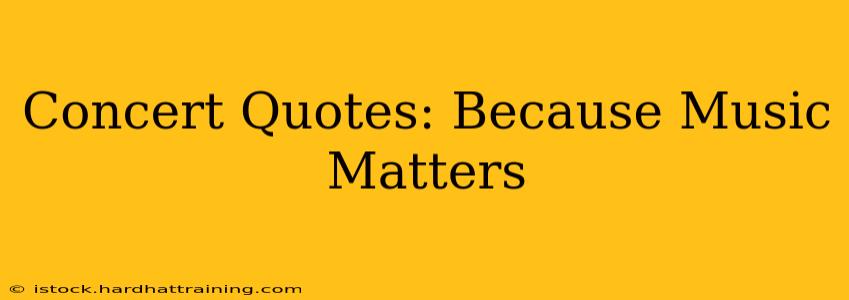 Concert Quotes: Because Music Matters