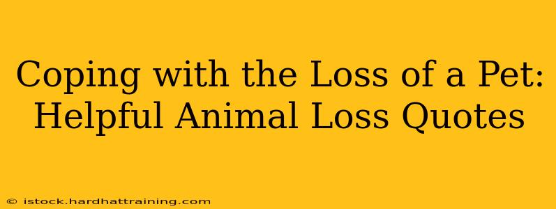 Coping with the Loss of a Pet: Helpful Animal Loss Quotes