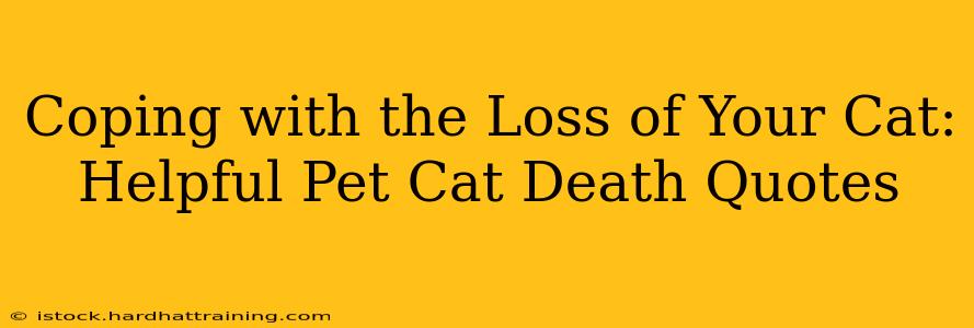 Coping with the Loss of Your Cat: Helpful Pet Cat Death Quotes