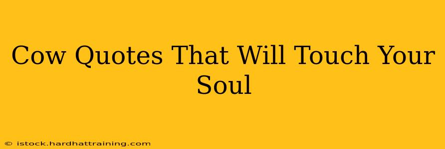 Cow Quotes That Will Touch Your Soul