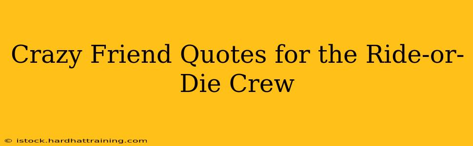 Crazy Friend Quotes for the Ride-or-Die Crew