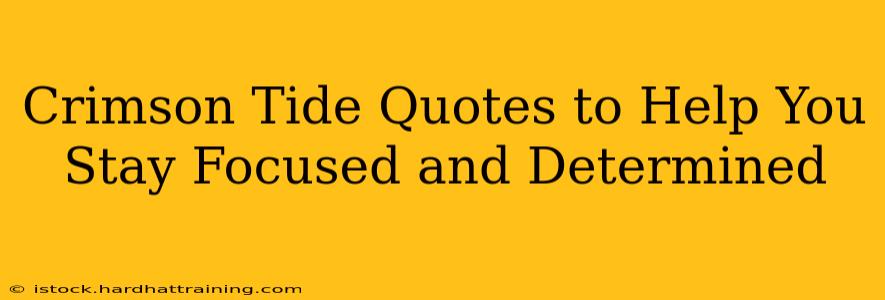 Crimson Tide Quotes to Help You Stay Focused and Determined