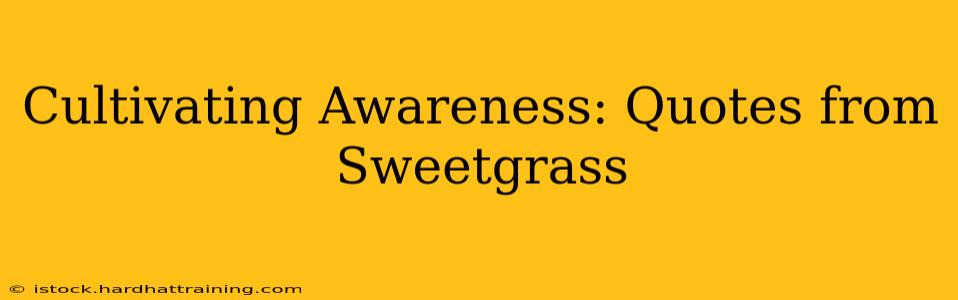 Cultivating Awareness: Quotes from Sweetgrass