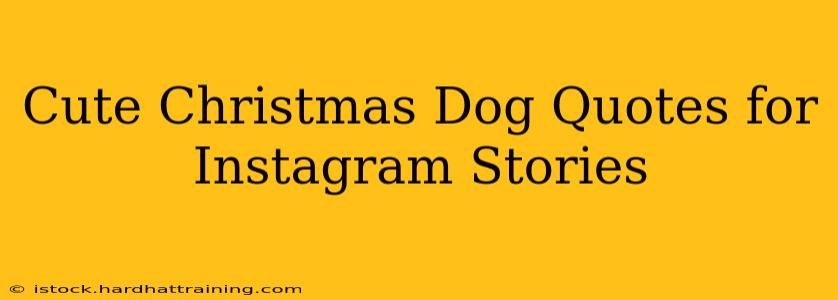 Cute Christmas Dog Quotes for Instagram Stories