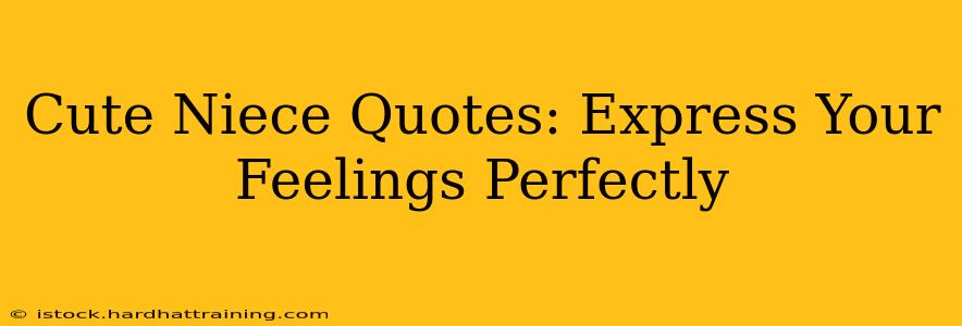 Cute Niece Quotes: Express Your Feelings Perfectly