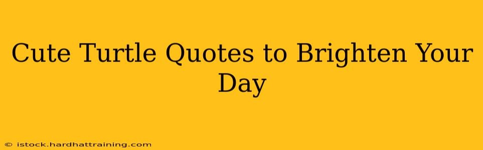 Cute Turtle Quotes to Brighten Your Day