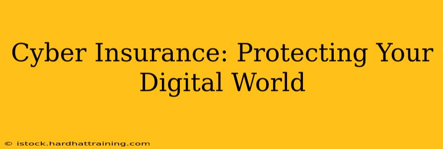Cyber Insurance: Protecting Your Digital World