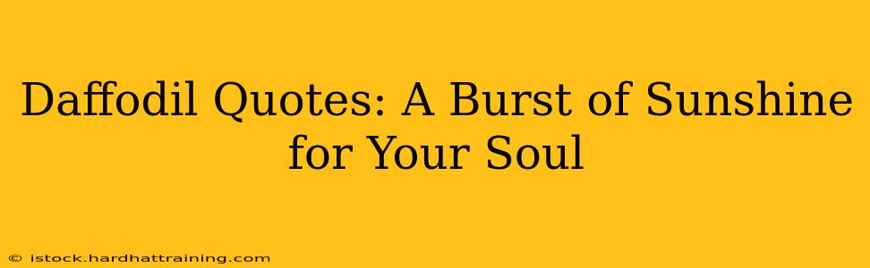 Daffodil Quotes: A Burst of Sunshine for Your Soul
