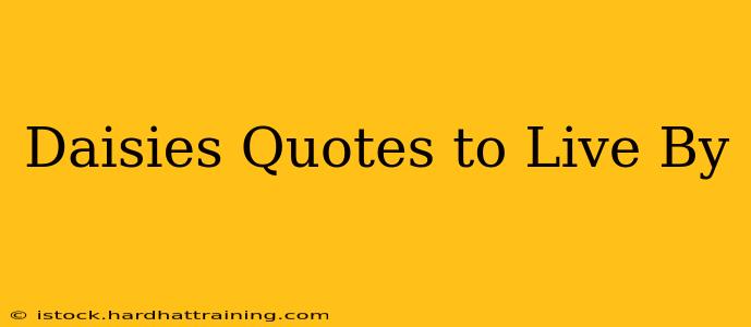 Daisies Quotes to Live By