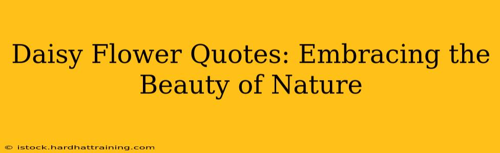 Daisy Flower Quotes: Embracing the Beauty of Nature
