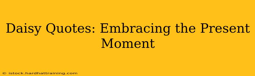 Daisy Quotes: Embracing the Present Moment