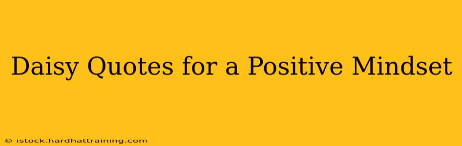 Daisy Quotes for a Positive Mindset