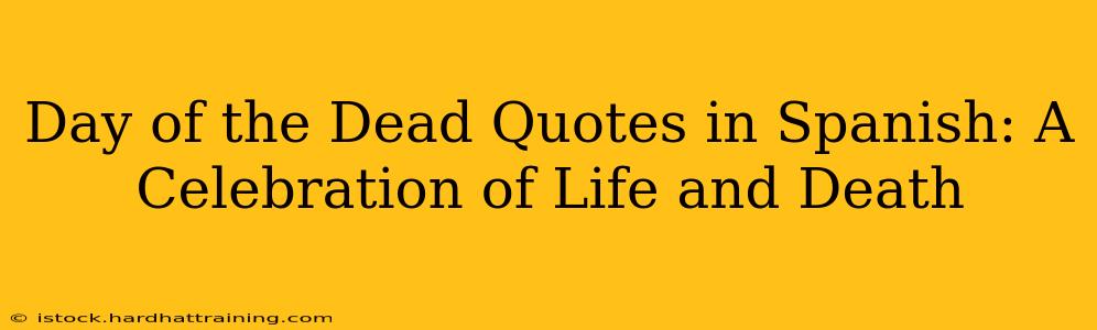 Day of the Dead Quotes in Spanish: A Celebration of Life and Death