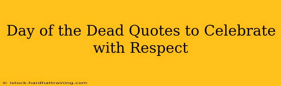 Day of the Dead Quotes to Celebrate with Respect
