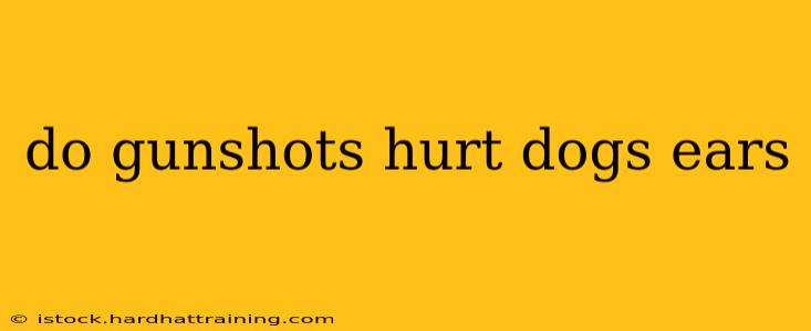 do gunshots hurt dogs ears