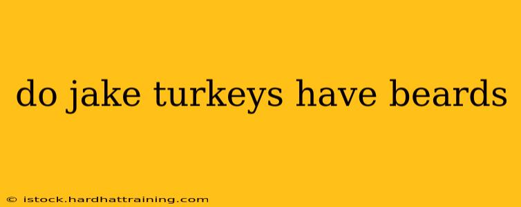 do jake turkeys have beards