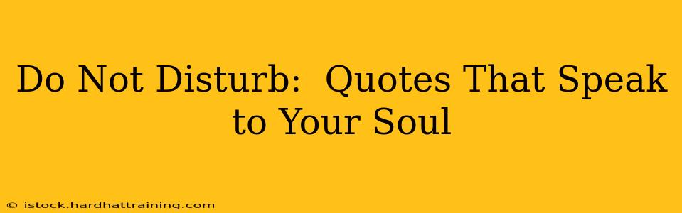 Do Not Disturb:  Quotes That Speak to Your Soul