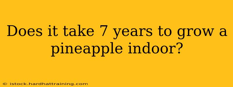 Does it take 7 years to grow a pineapple indoor?