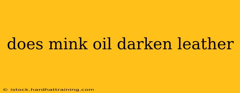 does mink oil darken leather