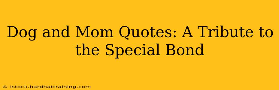 Dog and Mom Quotes: A Tribute to the Special Bond