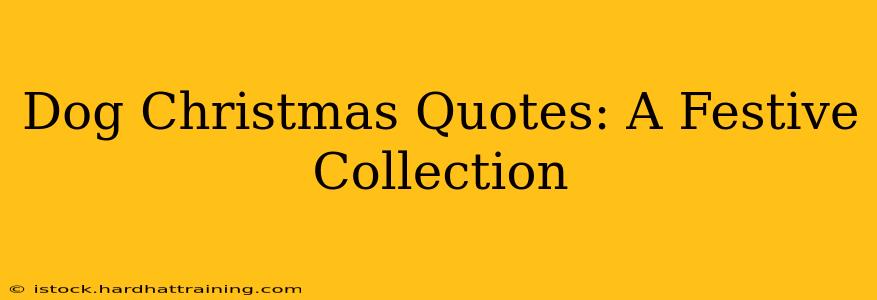 Dog Christmas Quotes: A Festive Collection