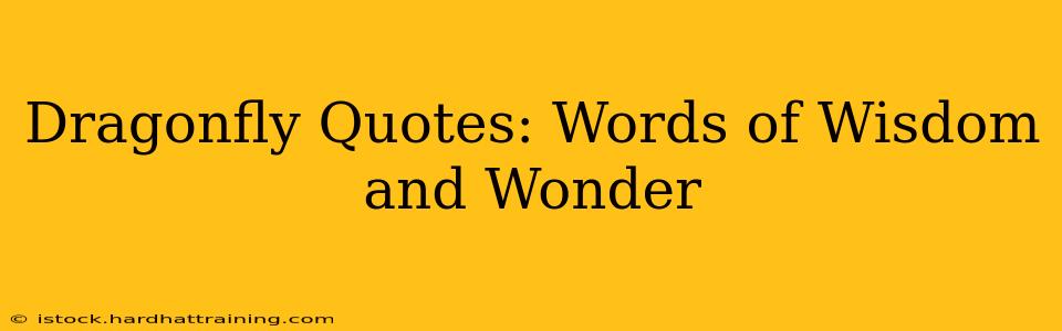 Dragonfly Quotes: Words of Wisdom and Wonder