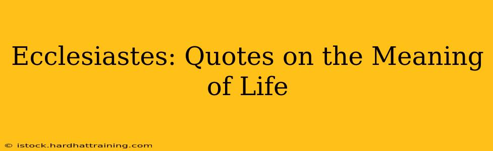 Ecclesiastes: Quotes on the Meaning of Life