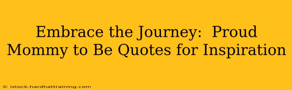 Embrace the Journey:  Proud Mommy to Be Quotes for Inspiration