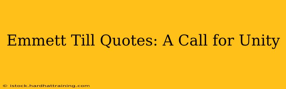 Emmett Till Quotes: A Call for Unity