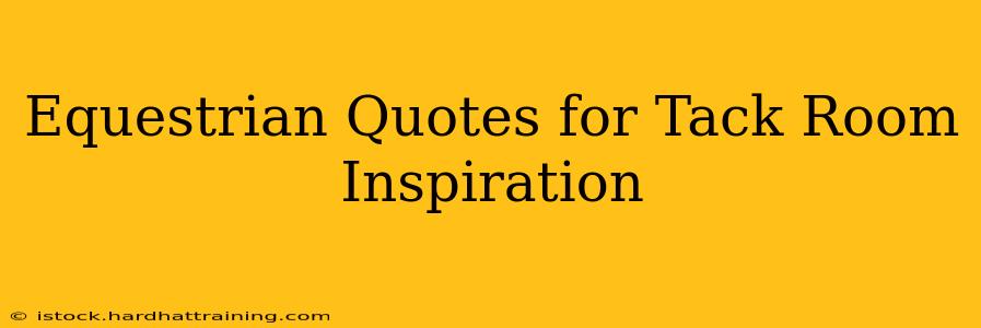 Equestrian Quotes for Tack Room Inspiration