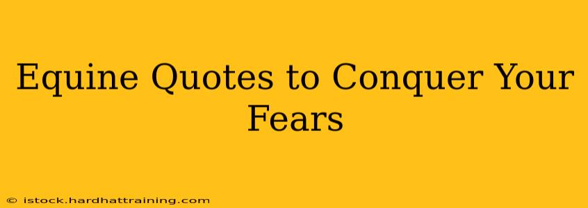Equine Quotes to Conquer Your Fears