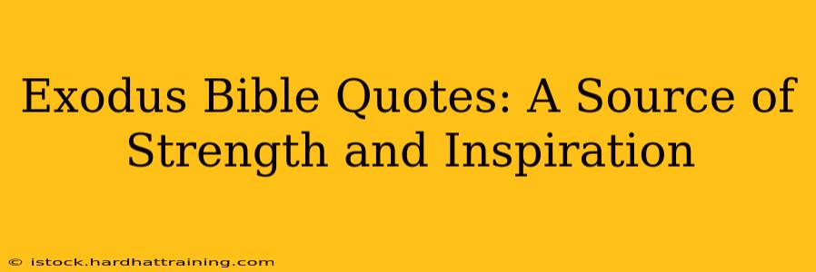 Exodus Bible Quotes: A Source of Strength and Inspiration
