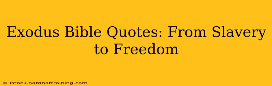Exodus Bible Quotes: From Slavery to Freedom