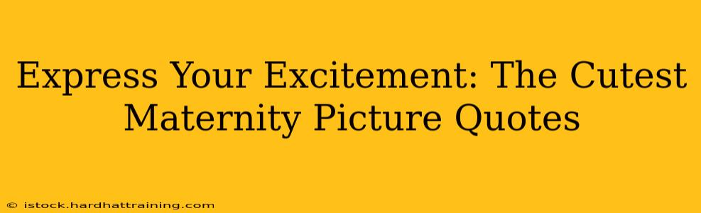 Express Your Excitement: The Cutest Maternity Picture Quotes