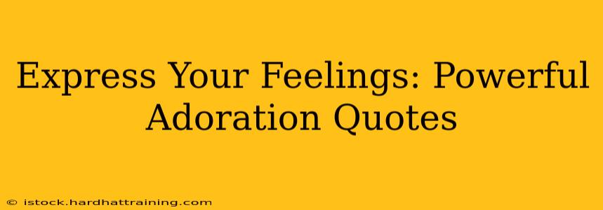 Express Your Feelings: Powerful Adoration Quotes