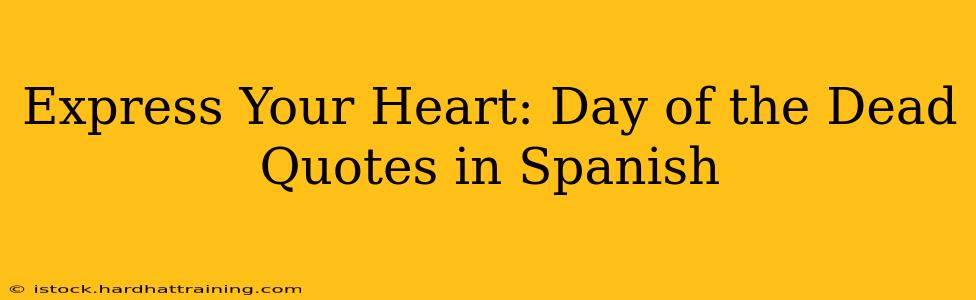 Express Your Heart: Day of the Dead Quotes in Spanish