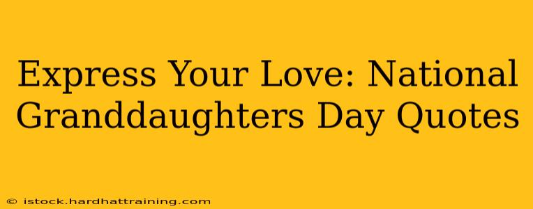 Express Your Love: National Granddaughters Day Quotes