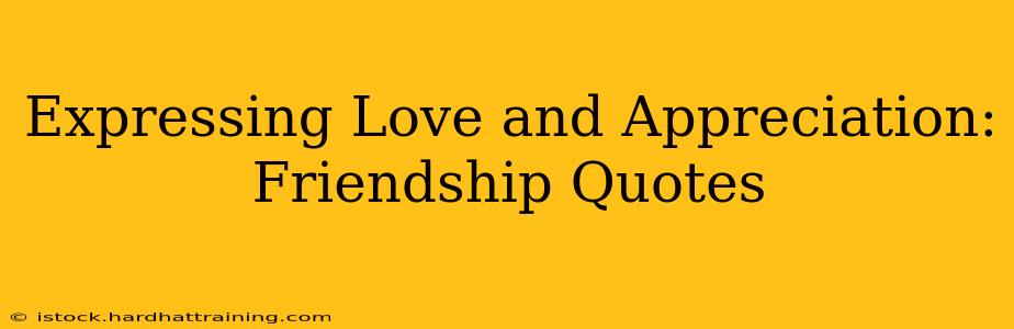Expressing Love and Appreciation: Friendship Quotes