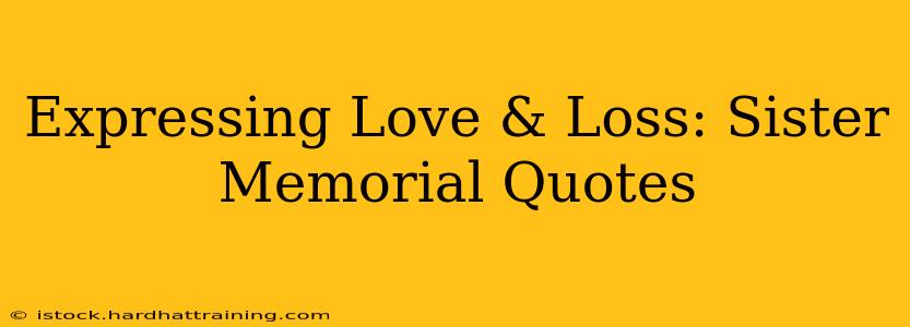 Expressing Love & Loss: Sister Memorial Quotes