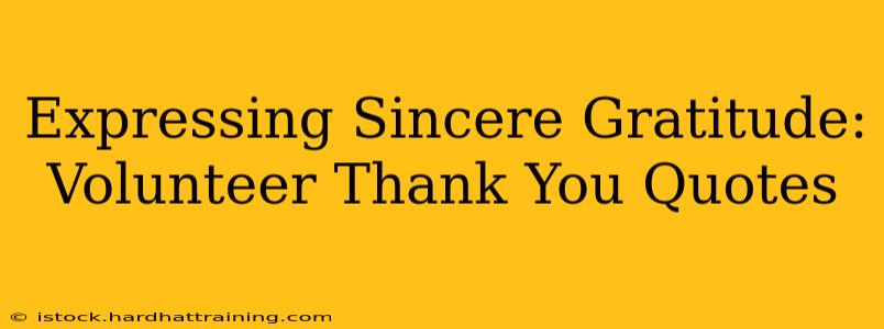 Expressing Sincere Gratitude: Volunteer Thank You Quotes