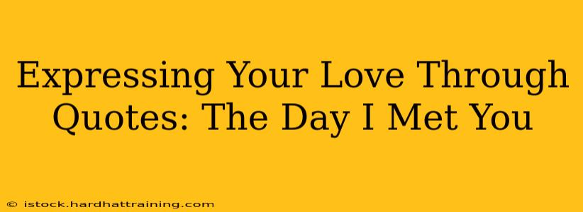 Expressing Your Love Through Quotes: The Day I Met You