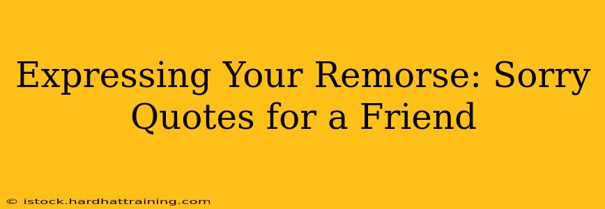 Expressing Your Remorse: Sorry Quotes for a Friend