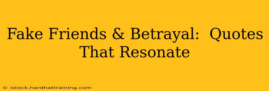 Fake Friends & Betrayal:  Quotes That Resonate