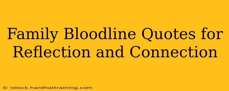 Family Bloodline Quotes for Reflection and Connection