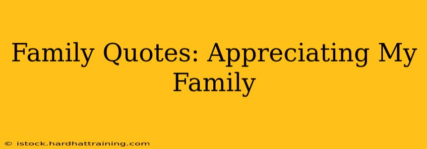 Family Quotes: Appreciating My Family
