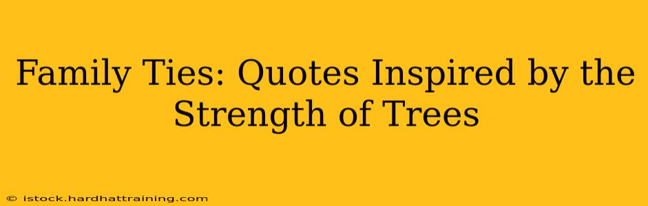 Family Ties: Quotes Inspired by the Strength of Trees