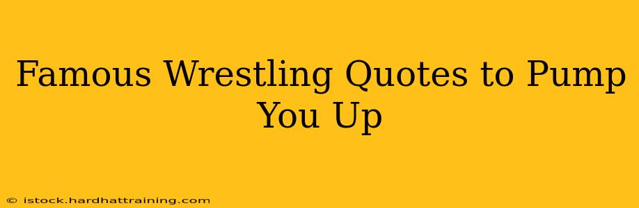 Famous Wrestling Quotes to Pump You Up
