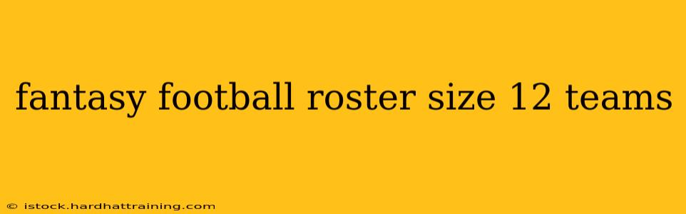 fantasy football roster size 12 teams
