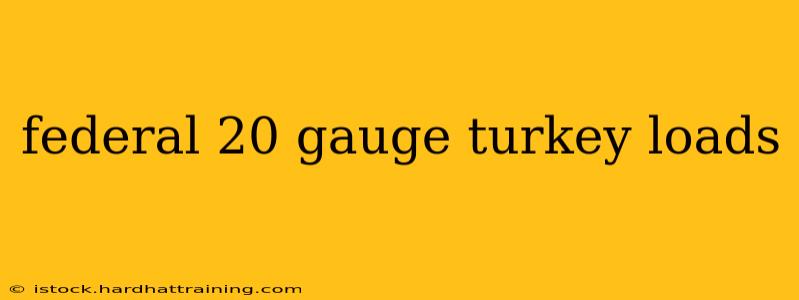 federal 20 gauge turkey loads