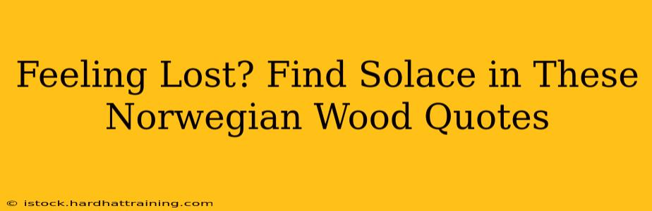 Feeling Lost? Find Solace in These Norwegian Wood Quotes